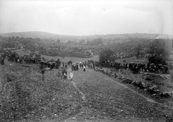 The crowd gathers at Fatima.